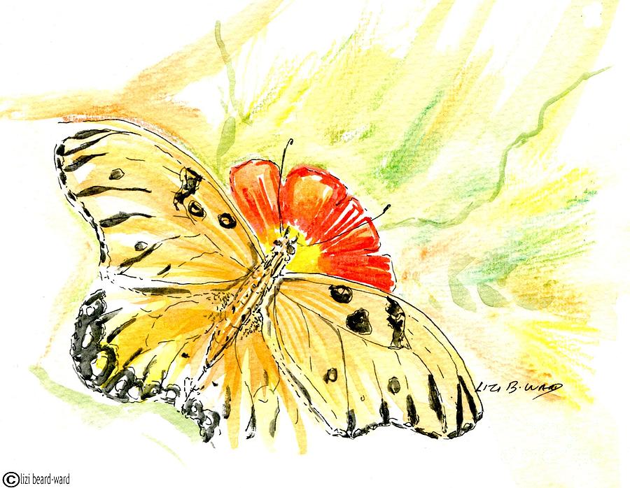 Gulf Fritillary in Water Color and Ink Drawing by Lizi Beard-Ward
