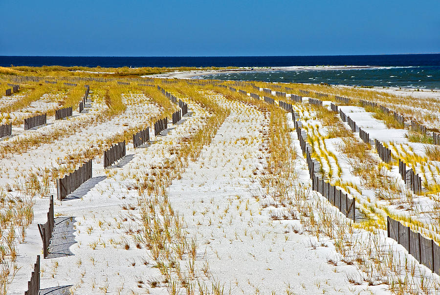 Gulf Island fences Photograph by Dennis Cox