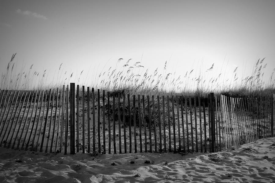 Gulf Shores Beach - bw Photograph by Beth Vincent