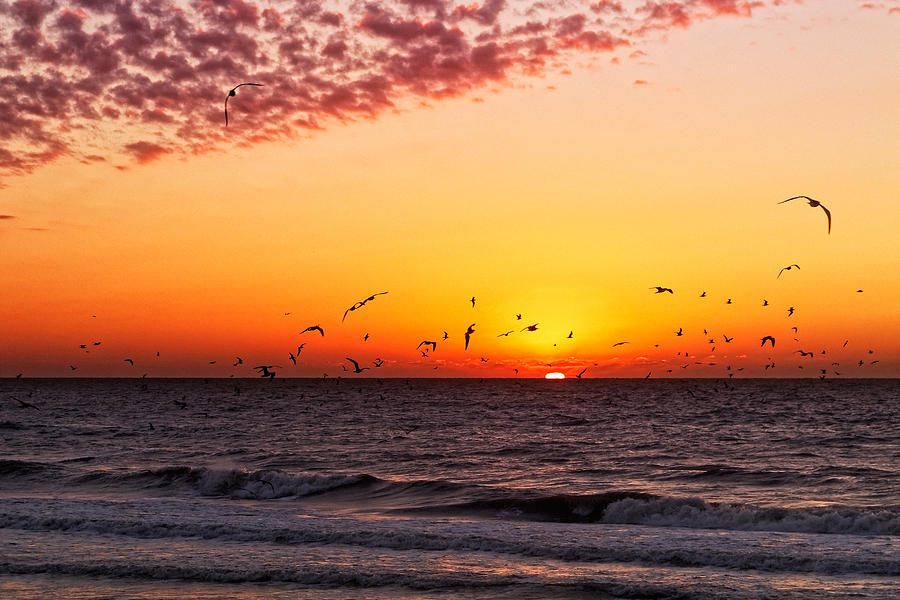 Gulf Sunset Photograph by Lars Lentz