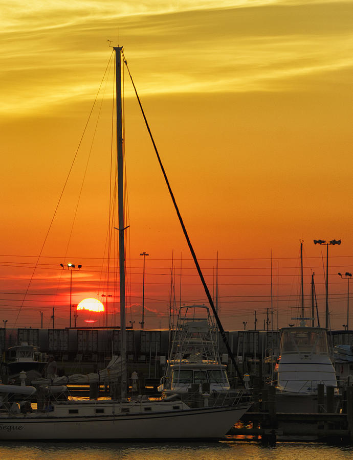 Gulfport Harbor Photograph by Don Schiffner