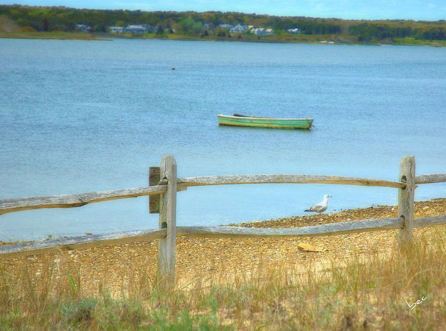 Gull And Boat Photograph by Bruce Carpenter