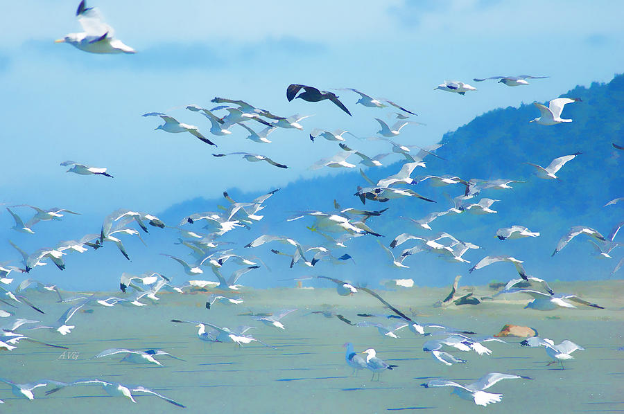 Gull Swarm Photograph by Allan Van Gasbeck