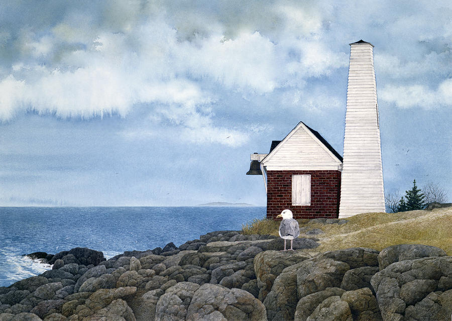 Gull Watch Painting by Tom Wooldridge