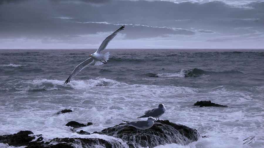 Gulls in Stormy Surf Digital Art by M Spadecaller