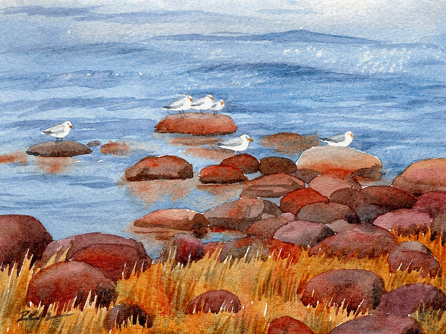 Gulls on the Maine Coast Painting by Janet Zeh