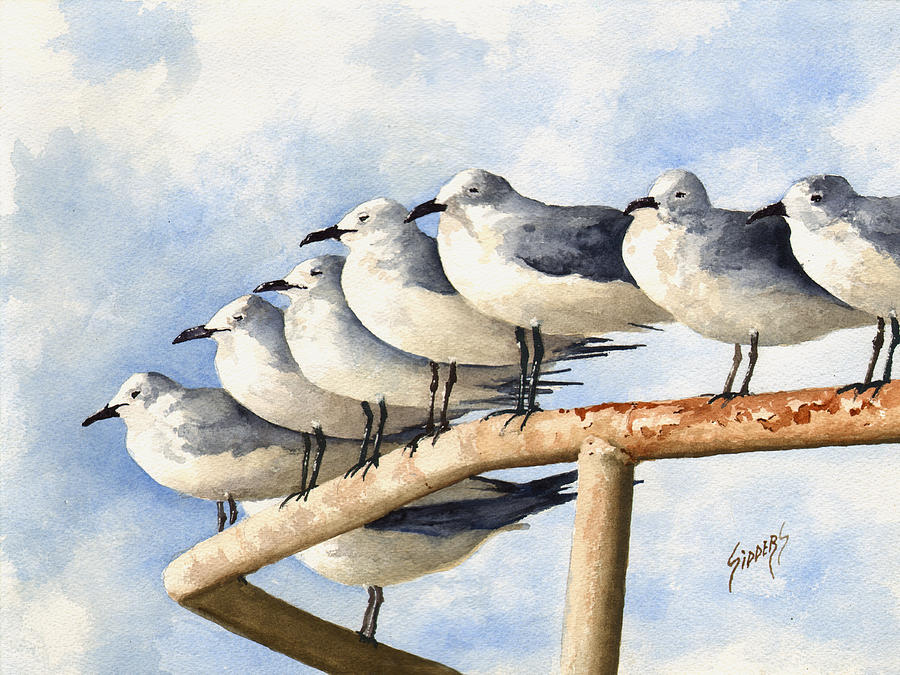 Seagull Painting - Gulls by Sam Sidders
