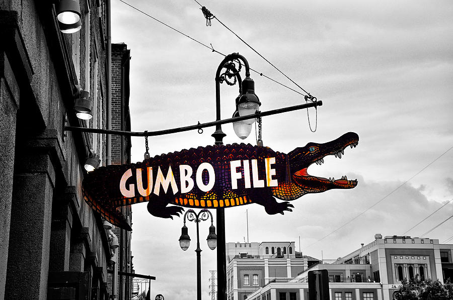 Gumbo Photograph - Gumbo File by Bill Cannon