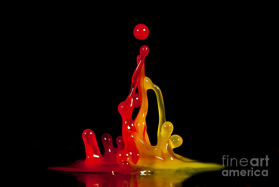 Gummy Drops Photograph by Anthony Sacco