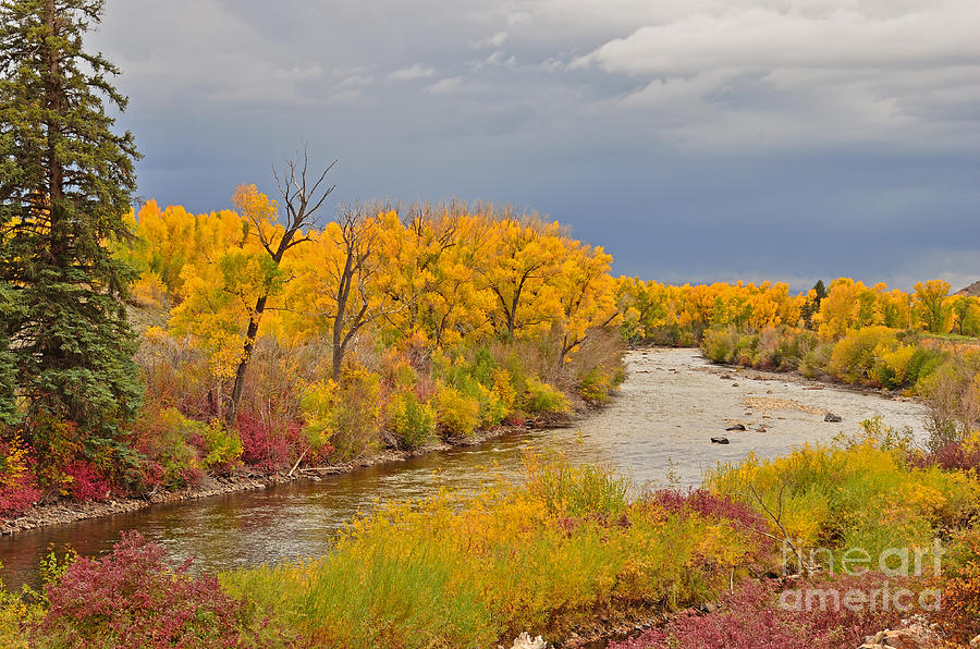 Gunnison River Colors Photograph by Kelly Black