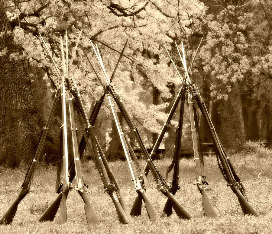 Guns Photograph by Alice Gipson Guns Photograph by Alice Gipson