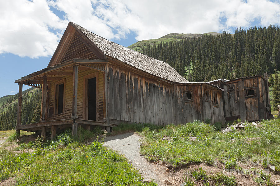 Gustavson House in Animas Forks Photograph by Fred Stearns