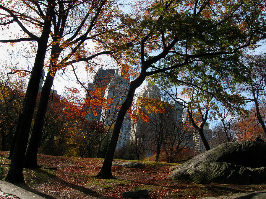 Guy On a Rock in Central Park Photograph by Daniel Schubarth