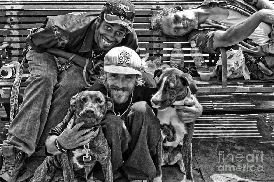 Guys Dogs Bench in Jackson Square - bw Photograph by Kathleen K Parker