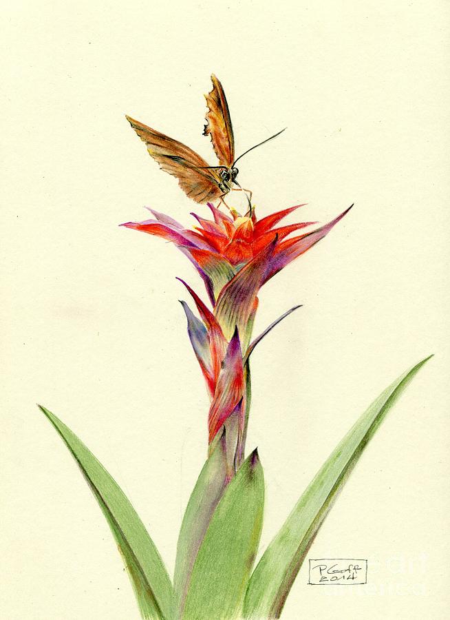 Butterfly Painting - A Bromeliad Entertains a Visitor by Penrith Goff