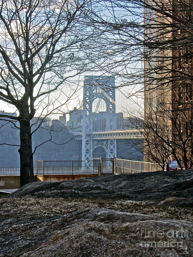 GWB from the Park Photograph by Maritza Melendez