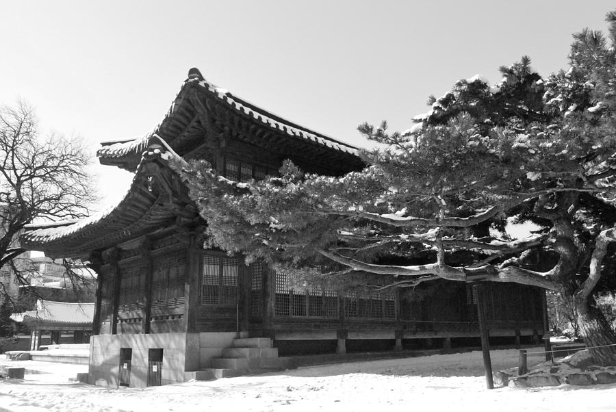 Gyeongbokgung Palace 1 Photograph by Rick Saint