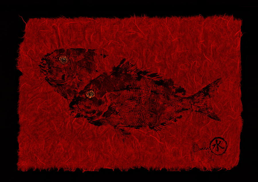 Fish Mixed Media - Gyotaku Scup Series 2  Red Unryu Paper by Jeffrey Canha