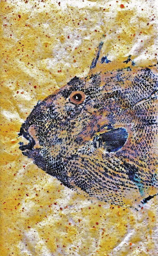 Gyotaku - Triggerfish - Oldwench -  Diptych 1  Mixed Media by Jeffrey Canha