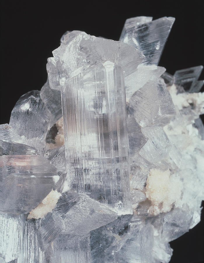 Gypsum Photograph - Gypsum Crystals by Martin Land/science Photo Library