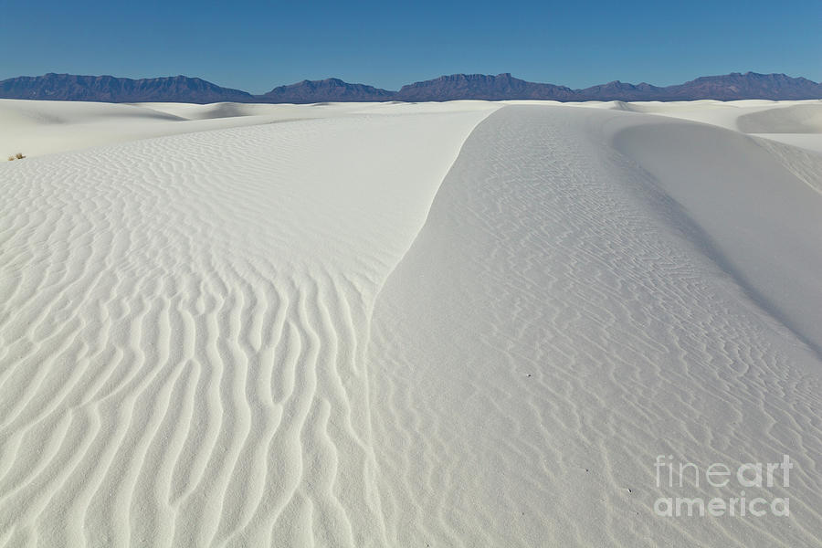  White Sands Gypsum Dunes Photograph by Yva Momatiuk John Eastcott