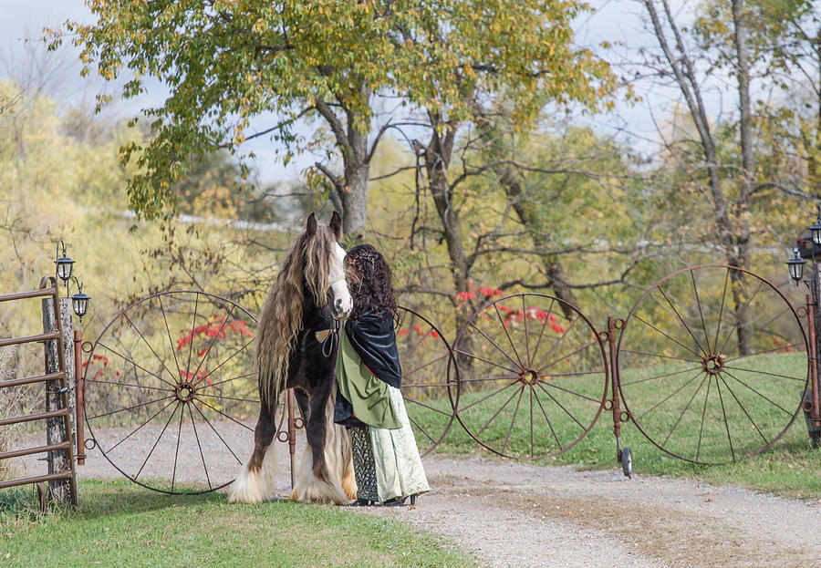 Horse Photograph - Gypsy Vanner Gypsy Girl by Toni Thomas