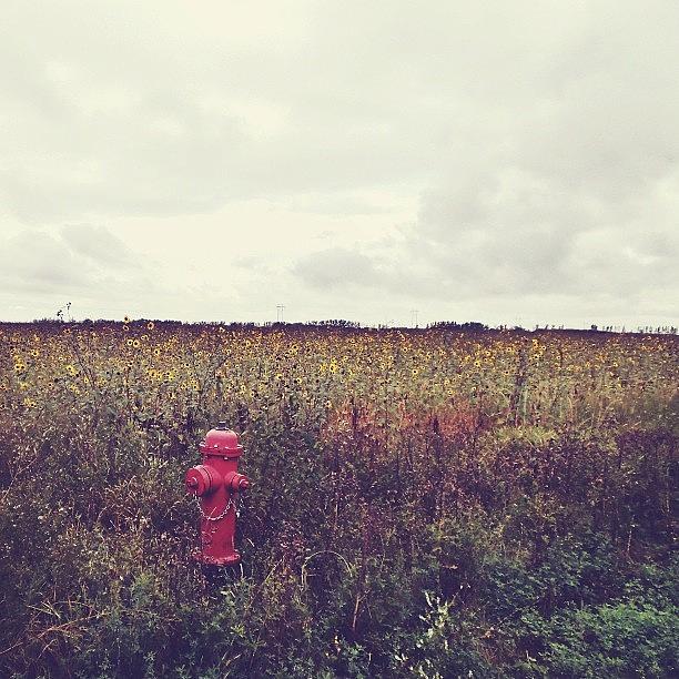 H Is For Hydrant And Horizon Photograph by Beth Cole