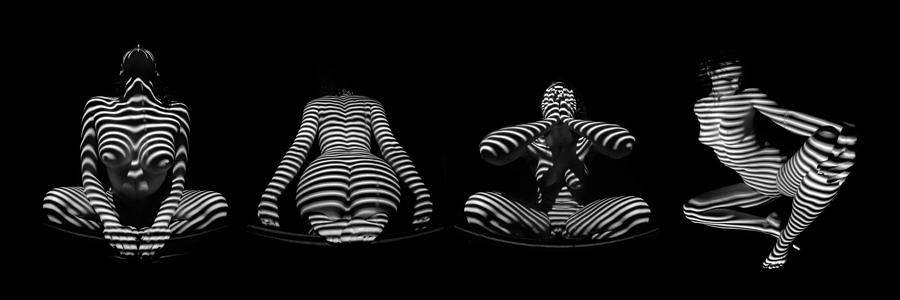 H Stripe Series One Sensual Zebra Woman Abstract Black White Nude 1 to 3 Ratio Photograph by Chris Maher
