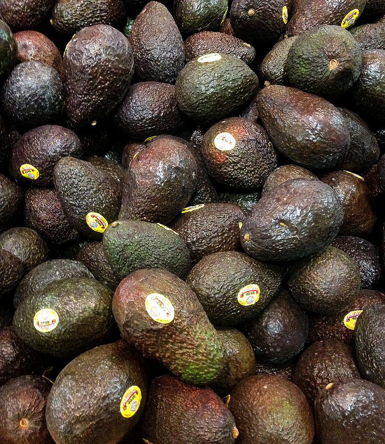 Haas Avocados Photograph by Science Source