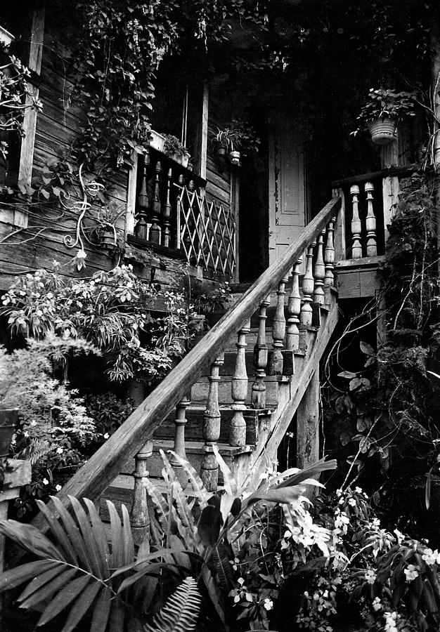 Hacienda Stairway Photograph by Ricardo J Ruiz de Porras
