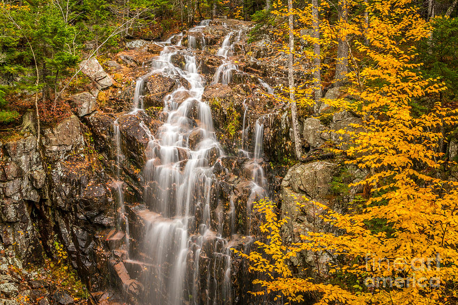 Hadlock Fall in Acadia Photograph by Susan Cole Kelly
