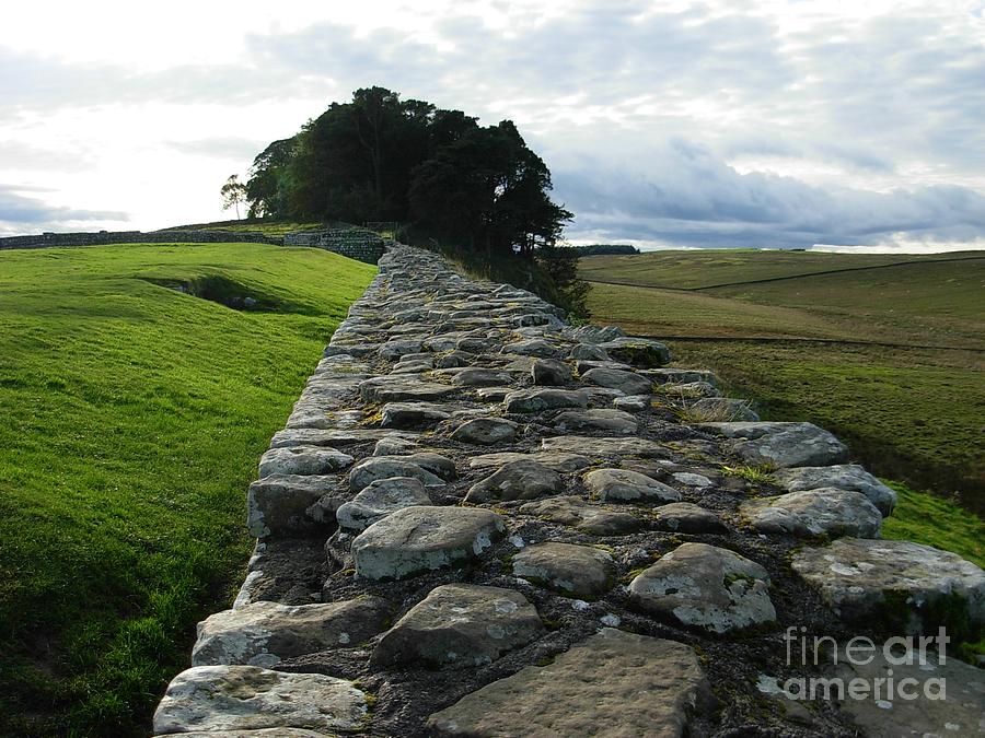 Hadrians Wall At Northumbria  Photograph by Joan-Violet Stretch
