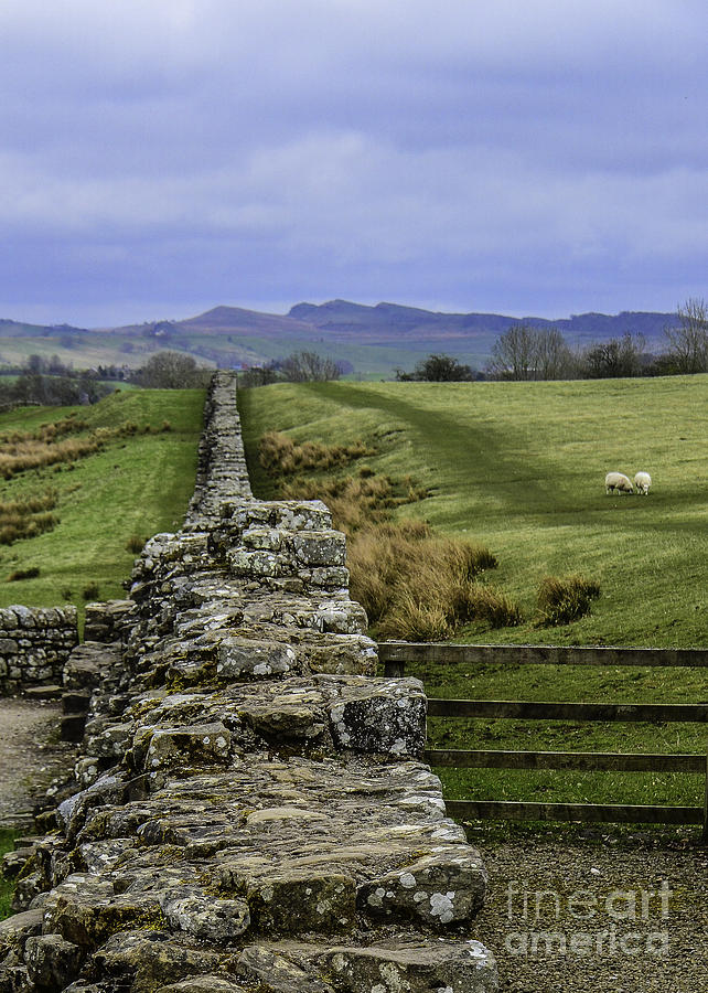 Hadrians Wall Photograph by Mary Carol Story