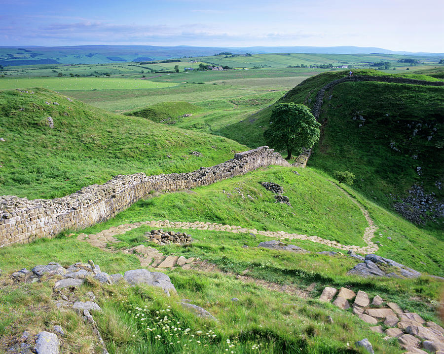 Hadrians Wall Photograph by Simon Fraser/science Photo Library
