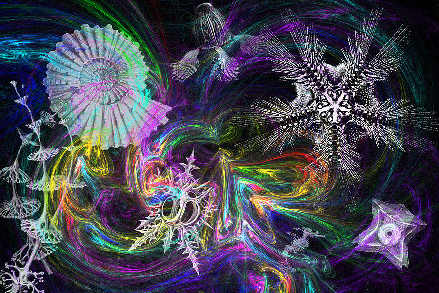 Haeckel Sea Digital Art by Lisa Yount