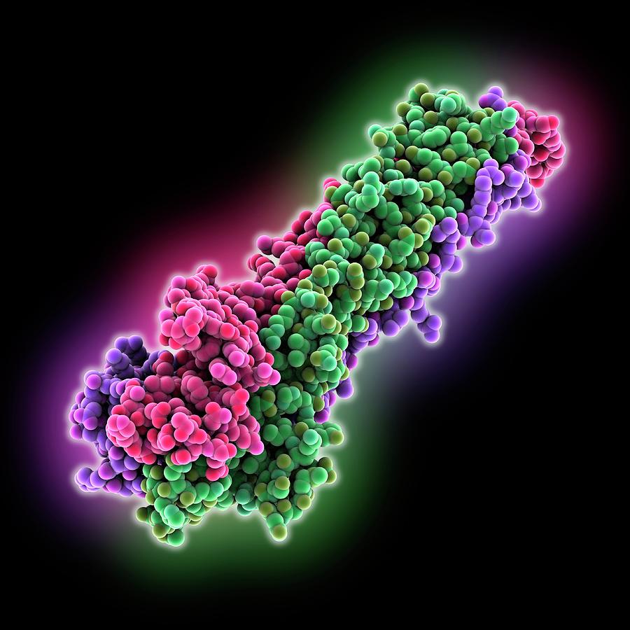 Antigen Photograph - Haemagglutinin Protein Subunit by Laguna Design