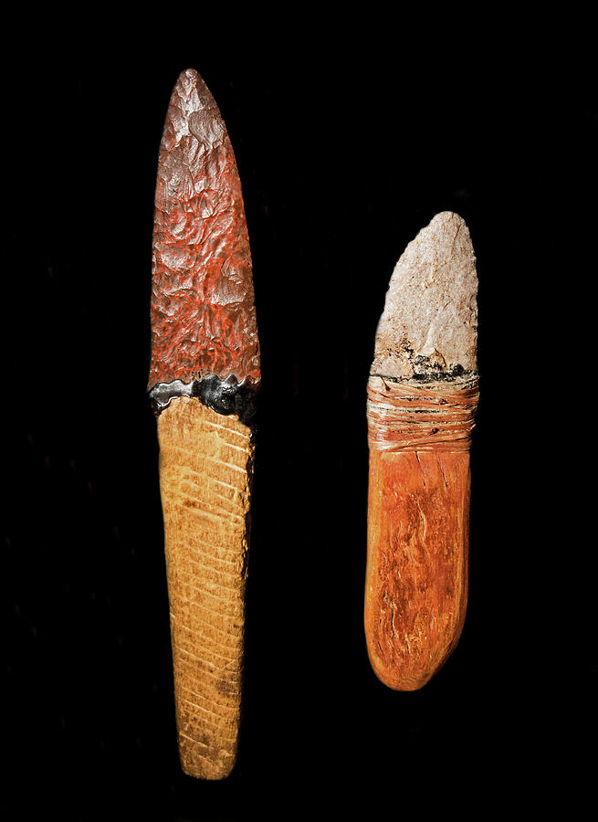 Hafted Knives Photograph by Millard H. Sharp