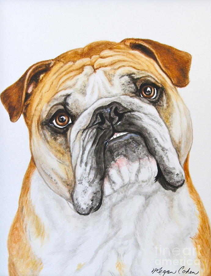 Bulldog Painting by Megan Cohen - Fine Art America