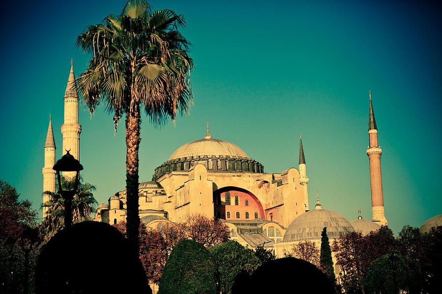 Hagia Sophia view with palm Photograph by Raimond Klavins