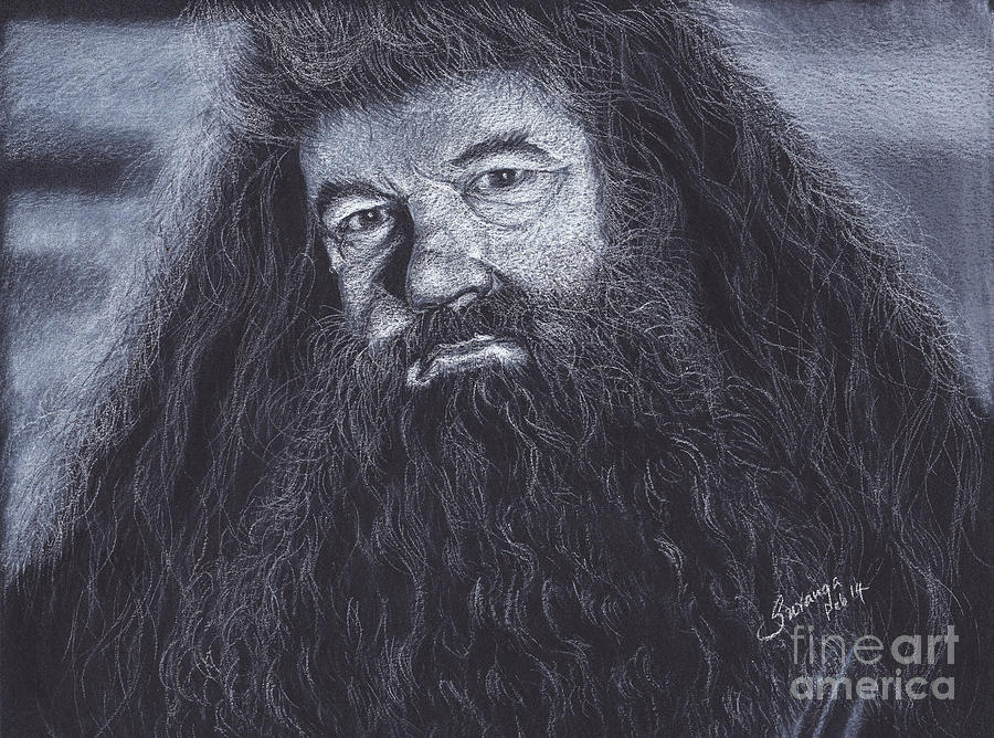 Hagrid Drawing by Suranga Basnagala Fine Art America