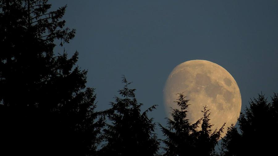 Haida Gwaii Autumn Moon Photograph by Suzanne Scodellaro - Pixels