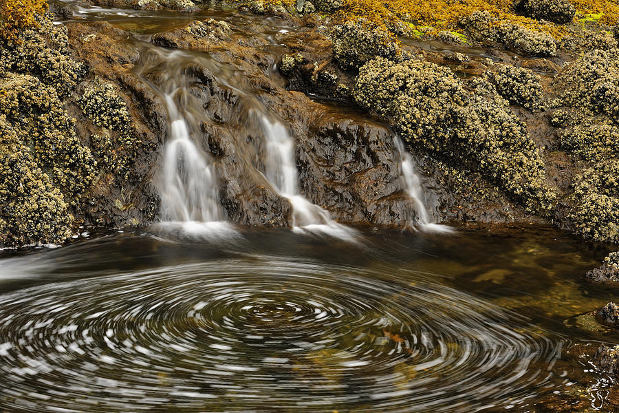 Haida Gwaii Landscape by Don Johnston Haida Gwaii Landscape by Don Johnston