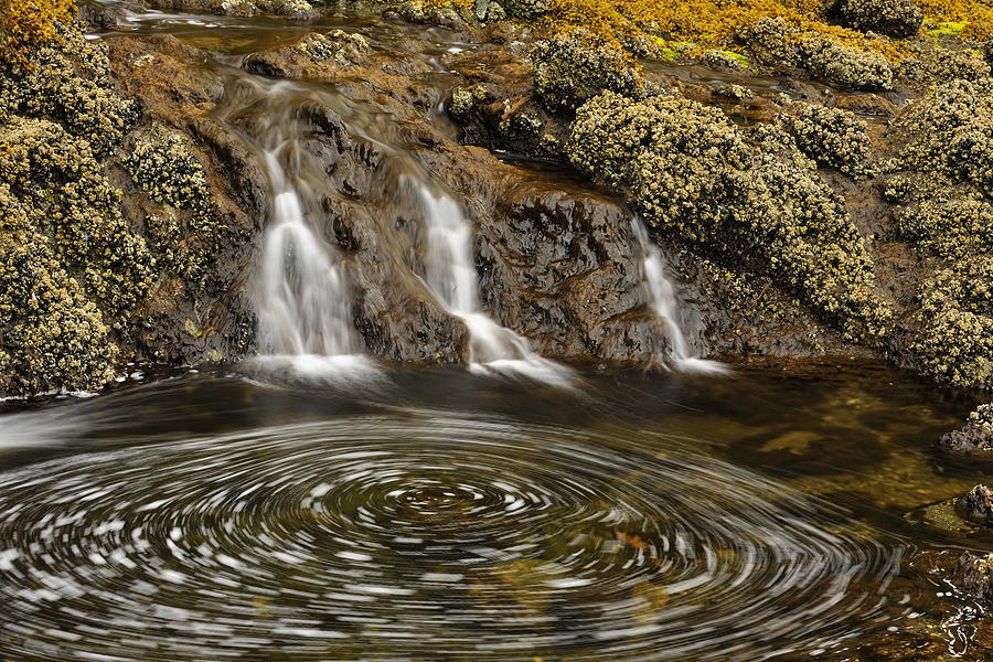 Haida Gwaii Landscape Photograph by Don Johnston