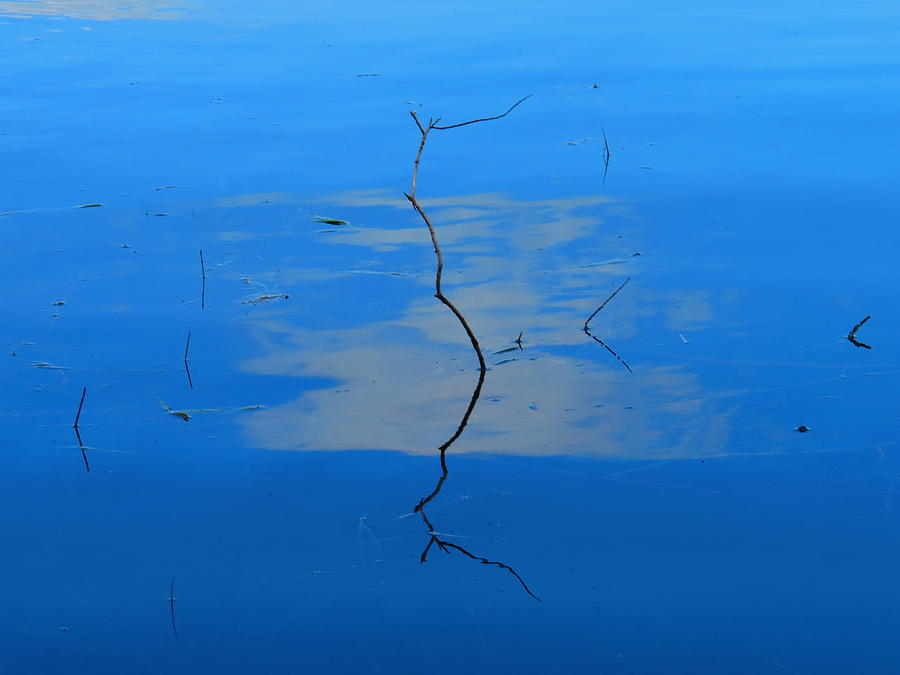 Water Photograph - Haiku by Alex  Call