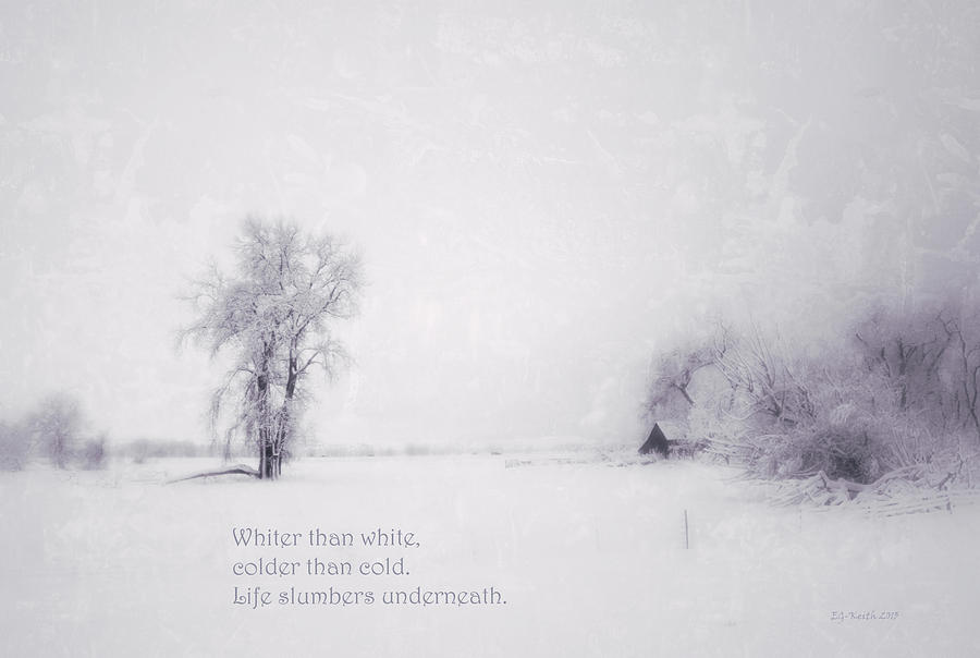 Haiku - Snow Photograph by Eneida Gastal-Keith - Pixels