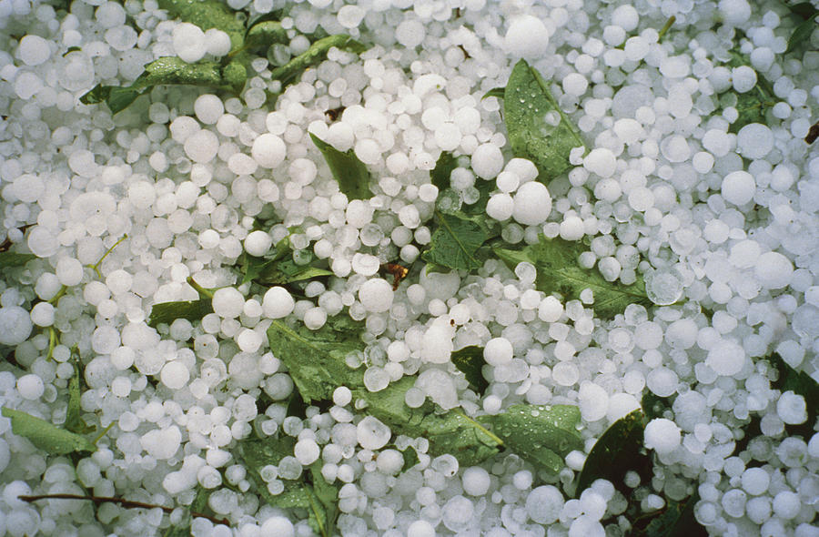 Hailstones Photograph by Perennou Nuridsany