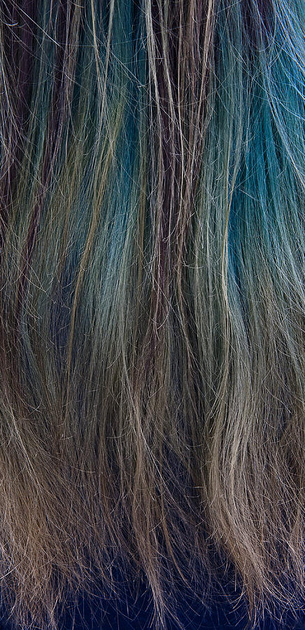 Hair Color Photograph by Murray Bloom