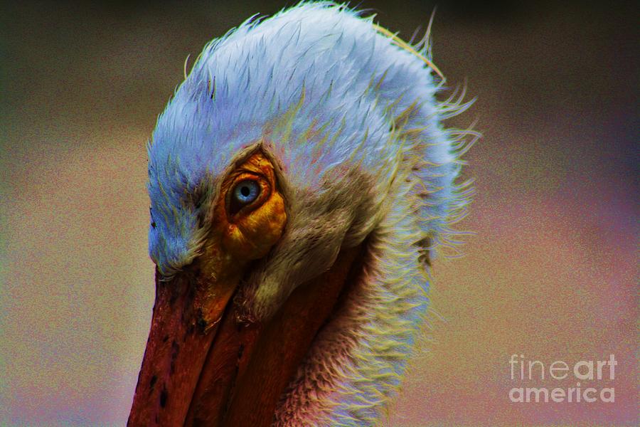 Pelican Photograph - Hair Gel by Chuck Hicks
