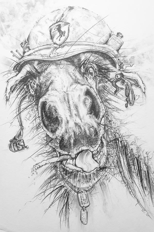Hair-ied Horse Soilder Drawing by Scott and Dixie Wiley