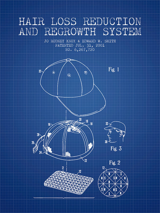 Hair Loss Reduction And Regrowth System Patent - Blueprint Digital Art